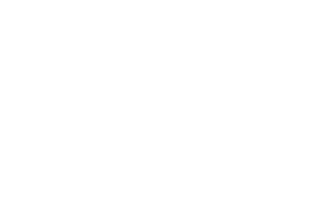 logo-design-company-white